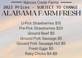 Nances Creek Farm